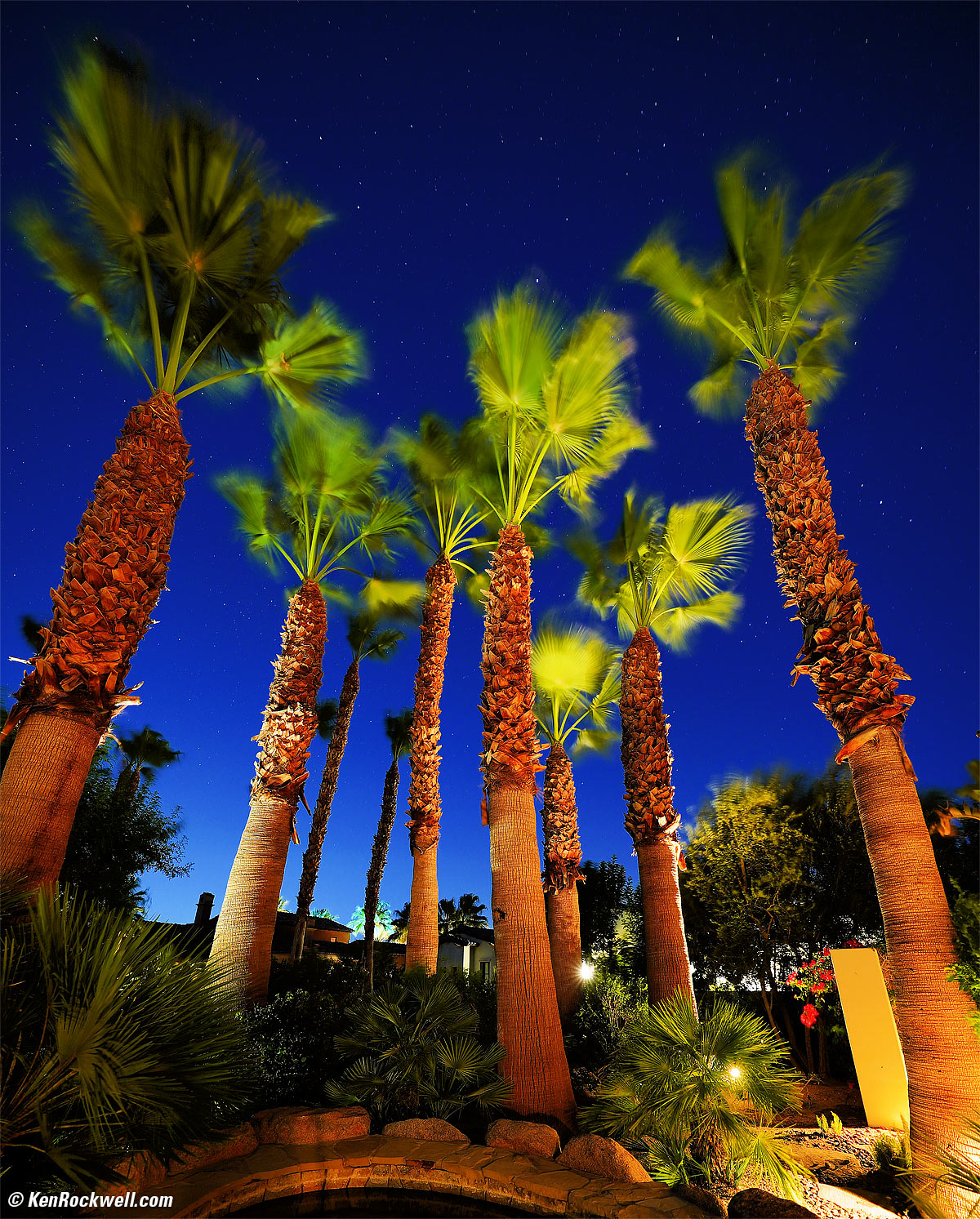 Sony FE 12-24mm f/2.8 GM Sample Image