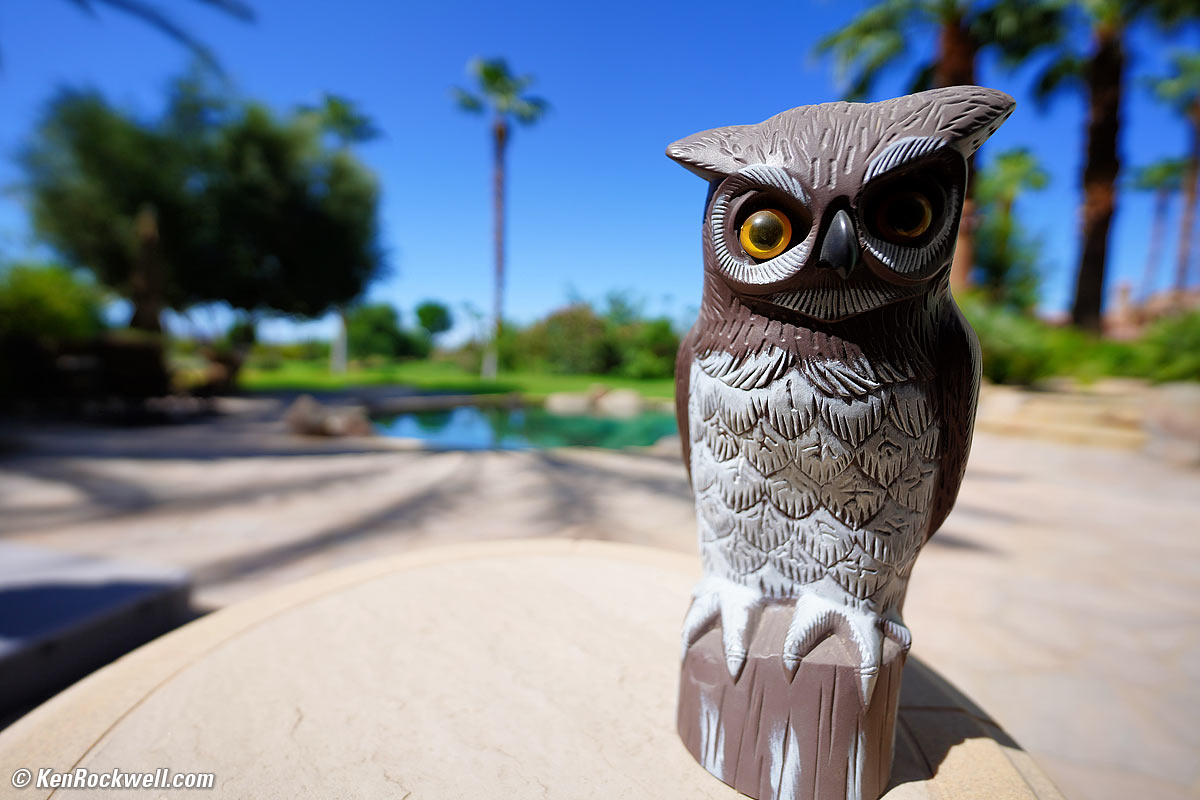 Sony FE 14mm f/1.8 GM Bokeh