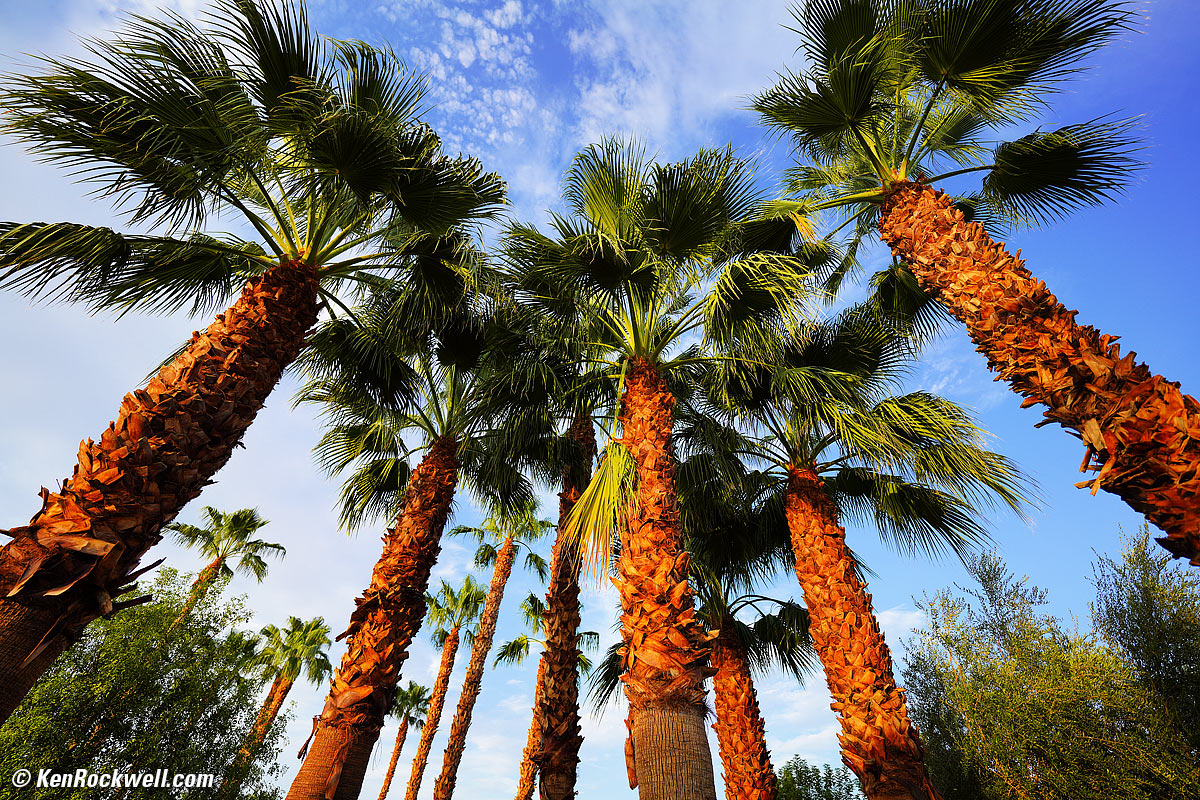 Sony FE 14mm f/1.8 GM Sample Image File