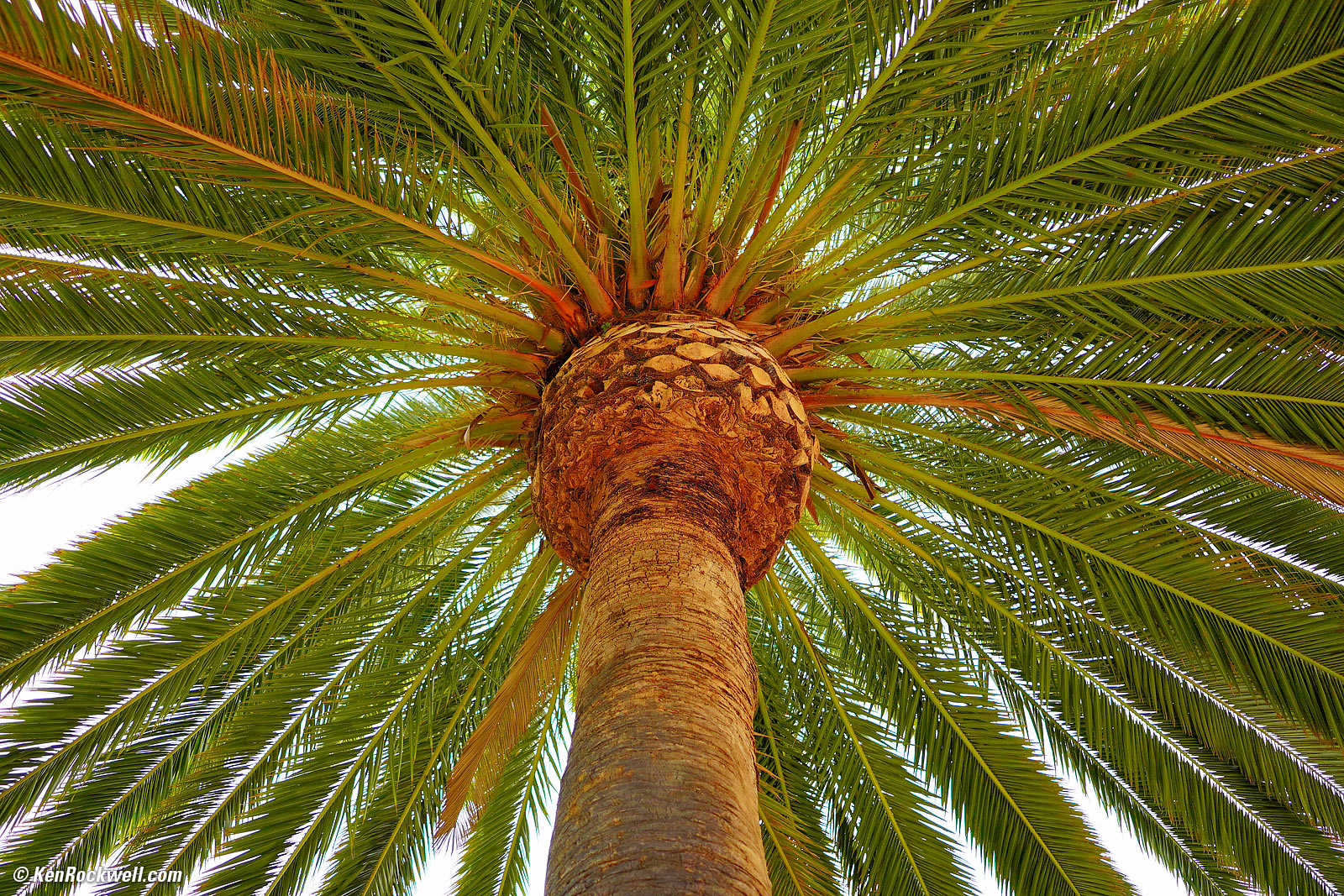 Sony E 15mm f/1.4 G Sample Image File