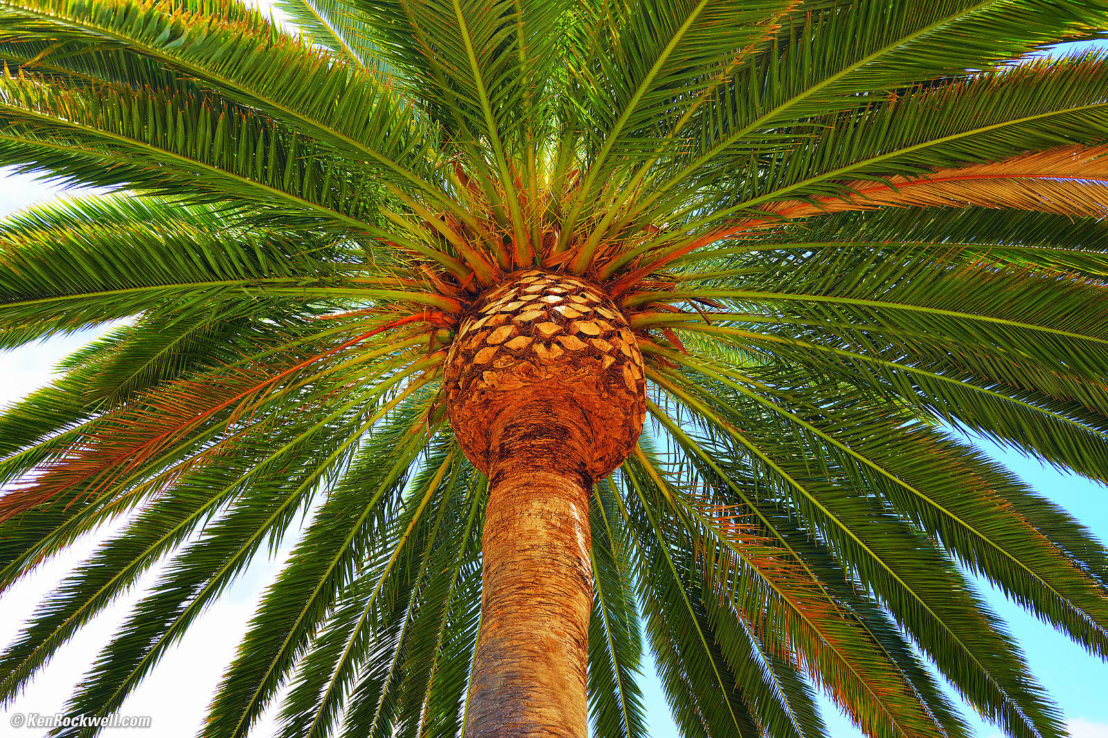 Sony FE 16-35mm f/4 G PZ Sample Image File