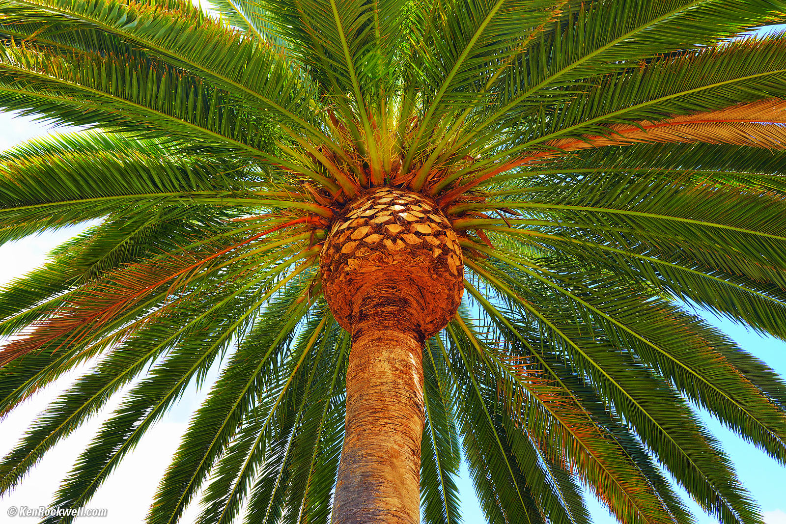 Sony FE 16-35mm f/4 G PZ Sample Image File