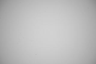 Sony FE 16-35mm f/4 G PZ Falloff