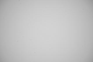 Sony FE 16-35mm f/4 G PZ Falloff