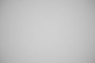 Sony FE 16-35mm f/4 G PZ Falloff