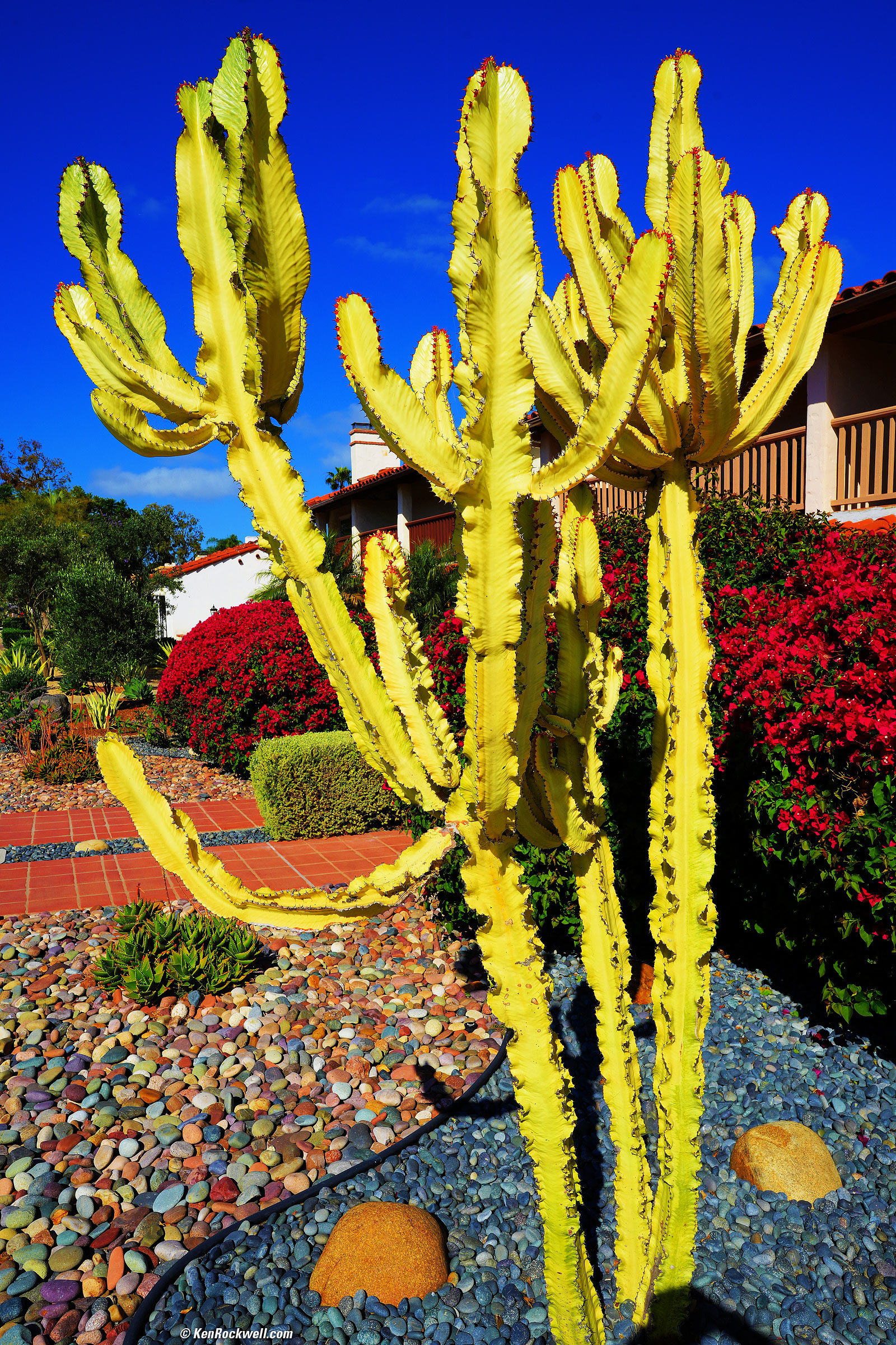 Sony FE 16-35mm f/4 G PZ Sample Image File