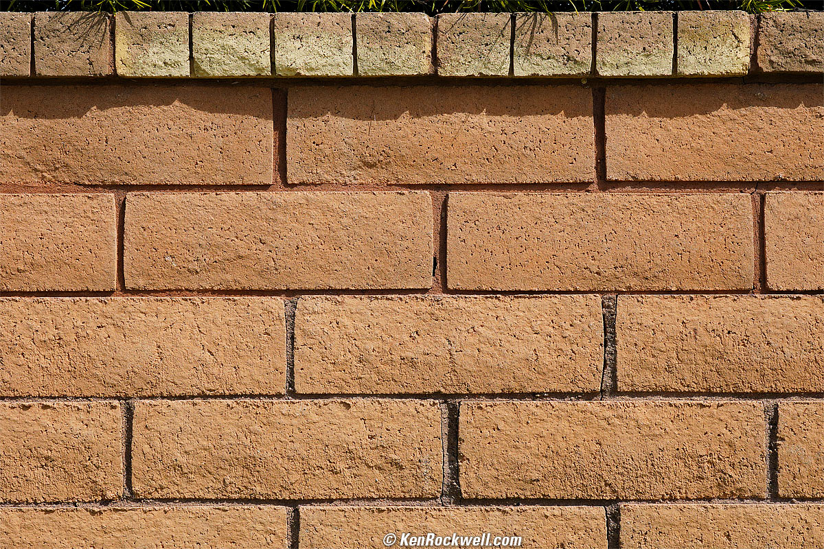 Sony E 16-55mm f/2.8 G Sample Image