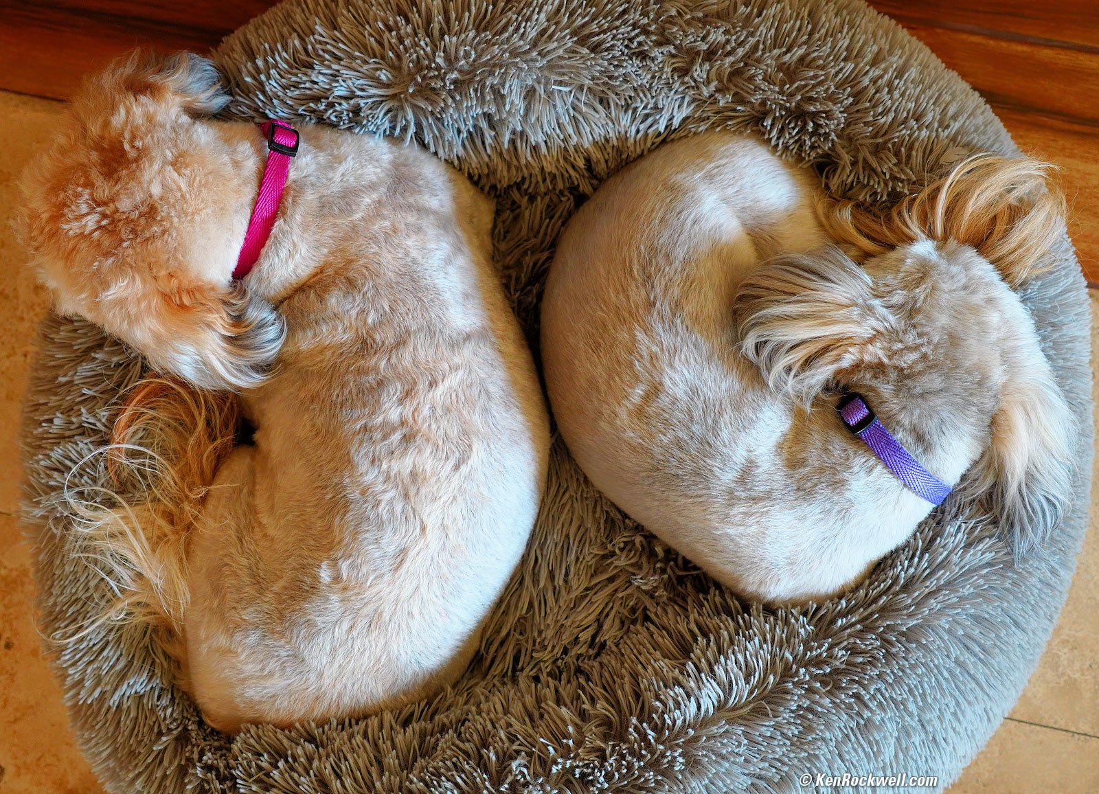 Sony E 16-55mm f/2.8 G Sample Image