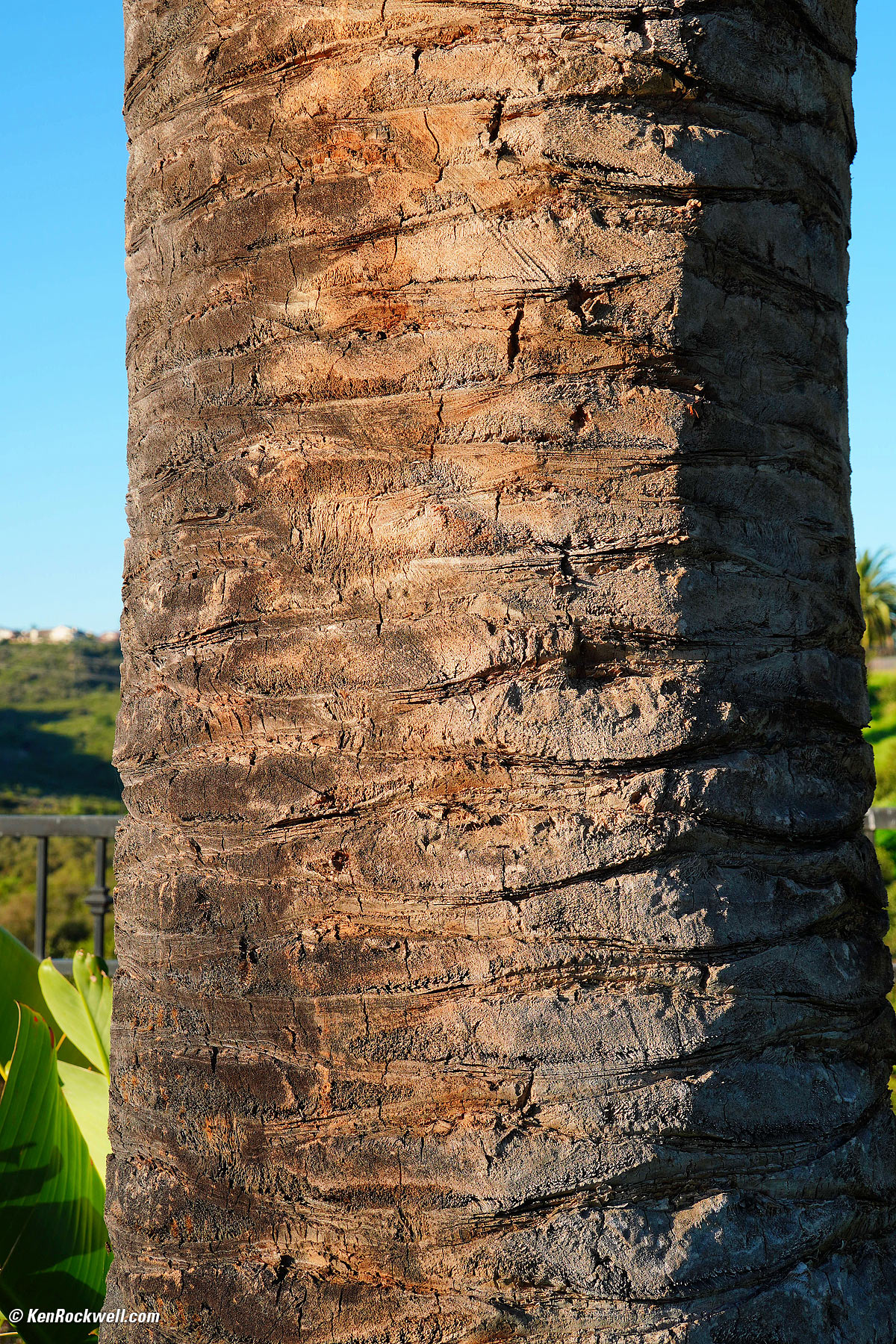 Sony E 18-200mm OSS Sample Image