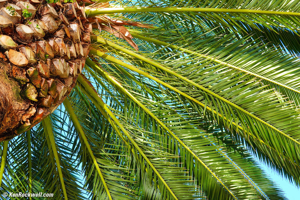 Sony E 18-200mm OSS Sample Image