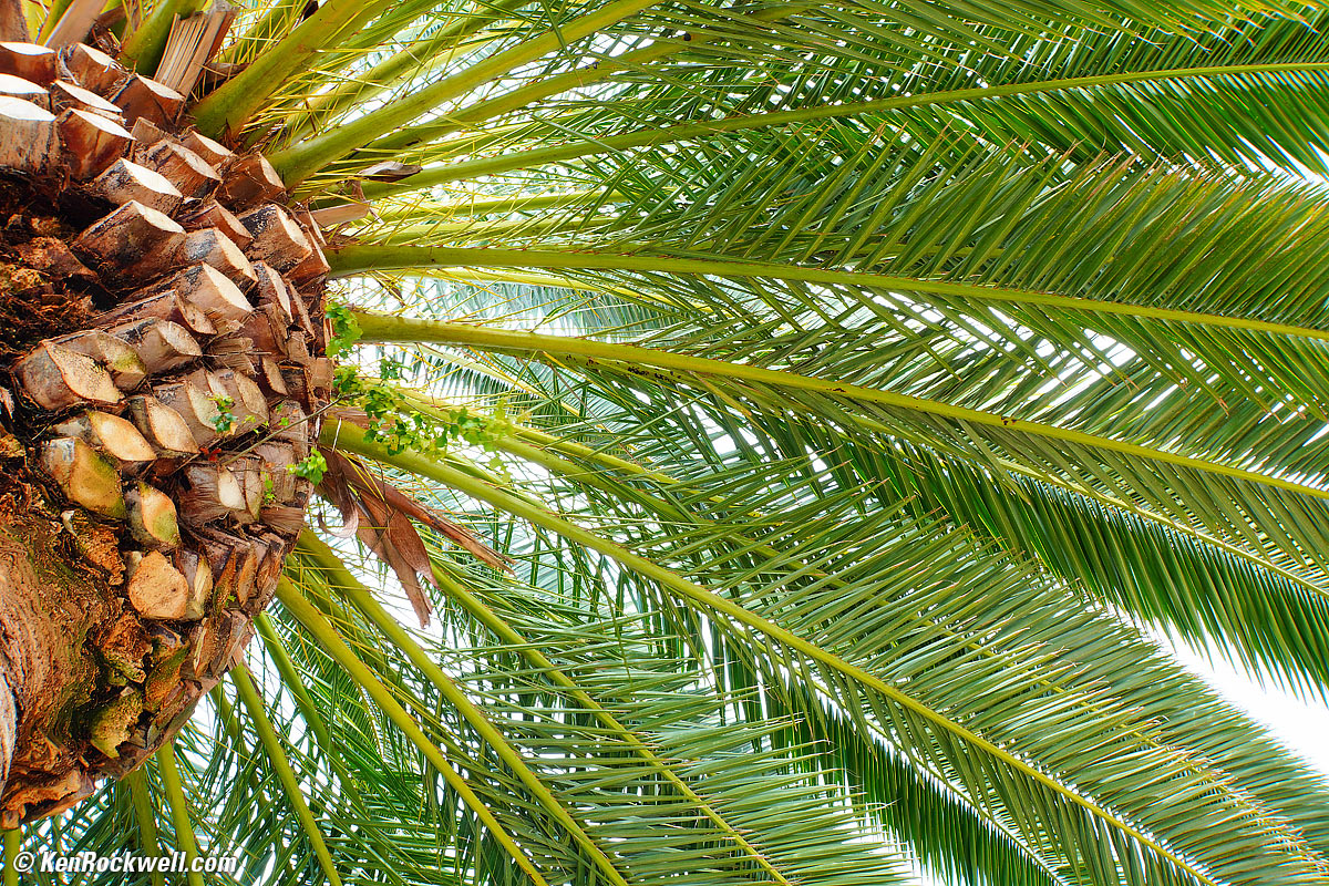 Sony E 18-200mm OSS Sample Image