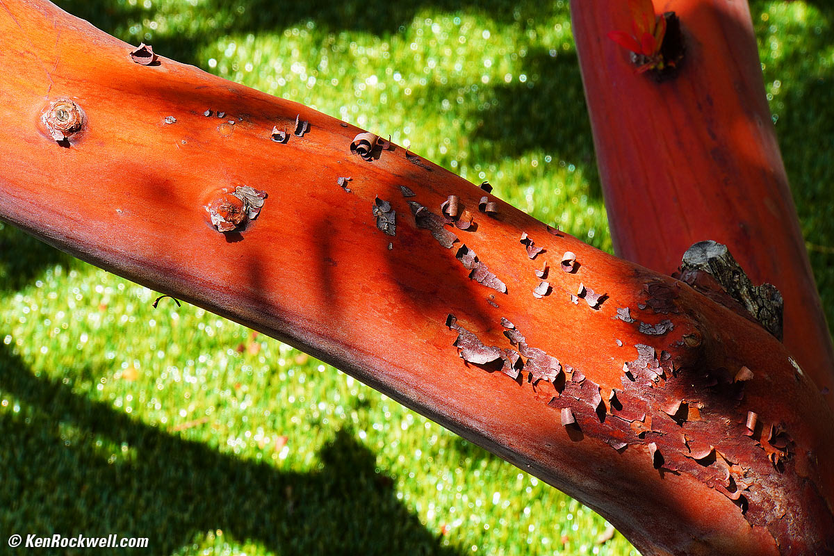 Sony E 18-200mm OSS Sample Image