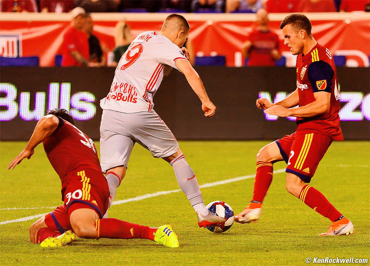 Sony 200-600mm sample image