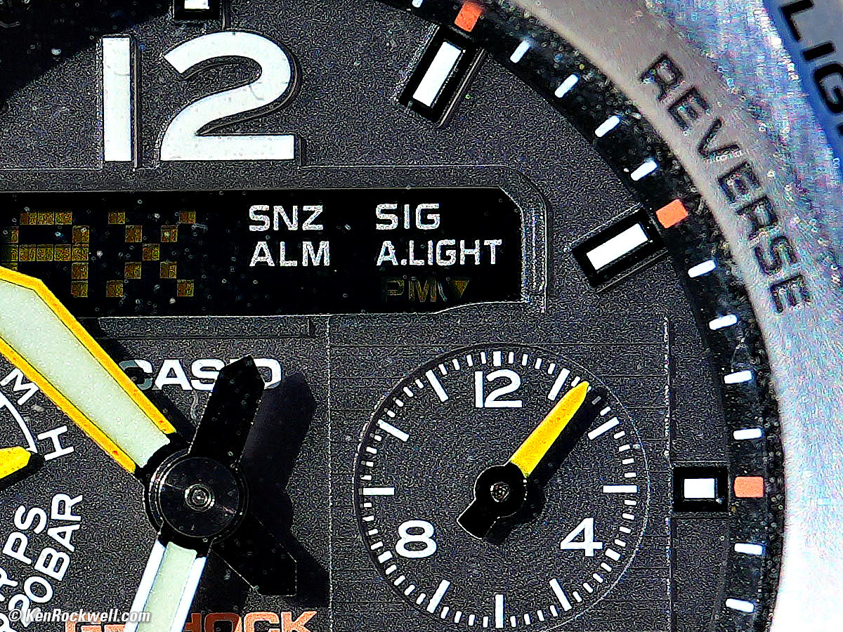 Sony FE 24-50mm f/2.8 Bokeh sample image