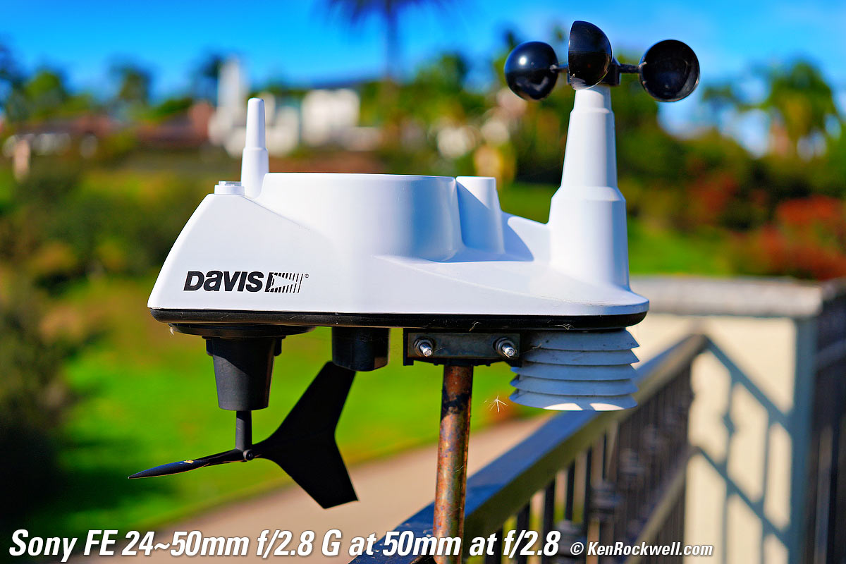 Sony FE 24-50mm f/2.8 Bokeh sample image