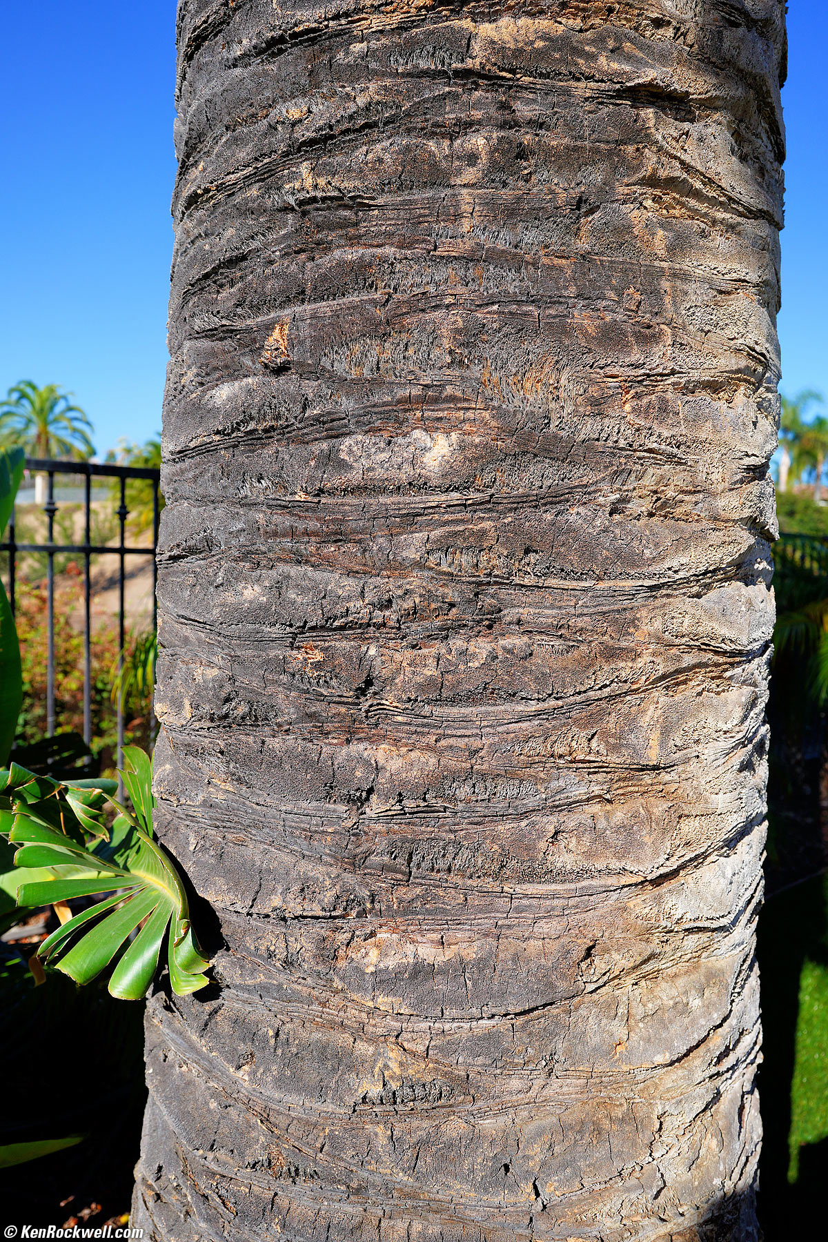 Sony FE 24mm f/2.8 G Sample Image File