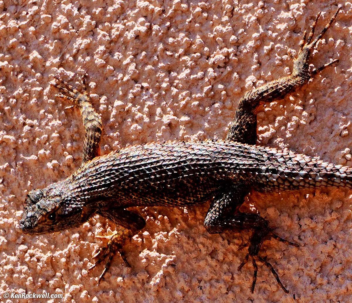 Sony E 30mm f/3.5 Macro sample image file