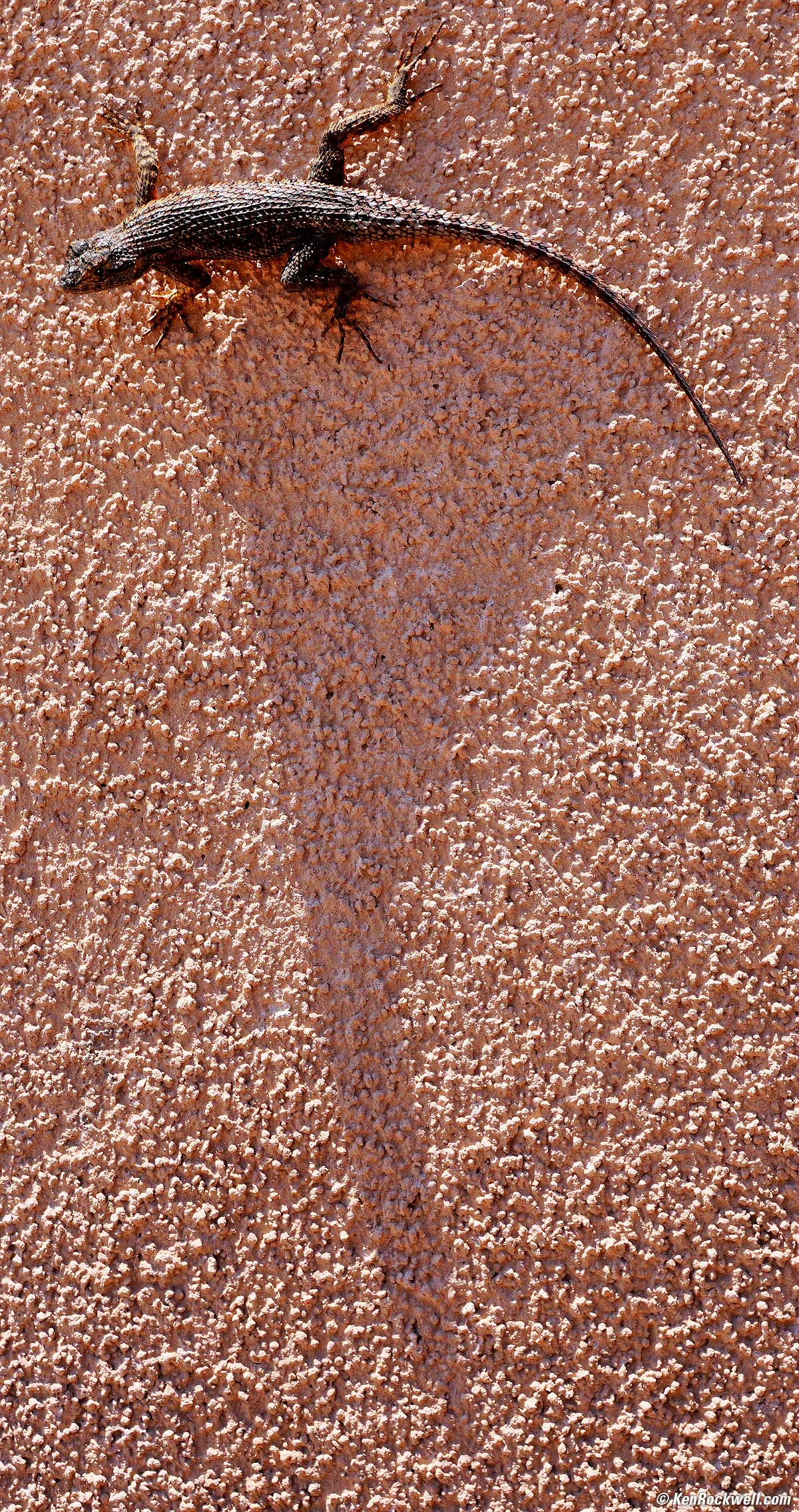 Sony E 30mm f/3.5 Macro sample image file