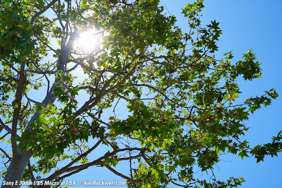 Sony 30mm f/3.5 Sunstars