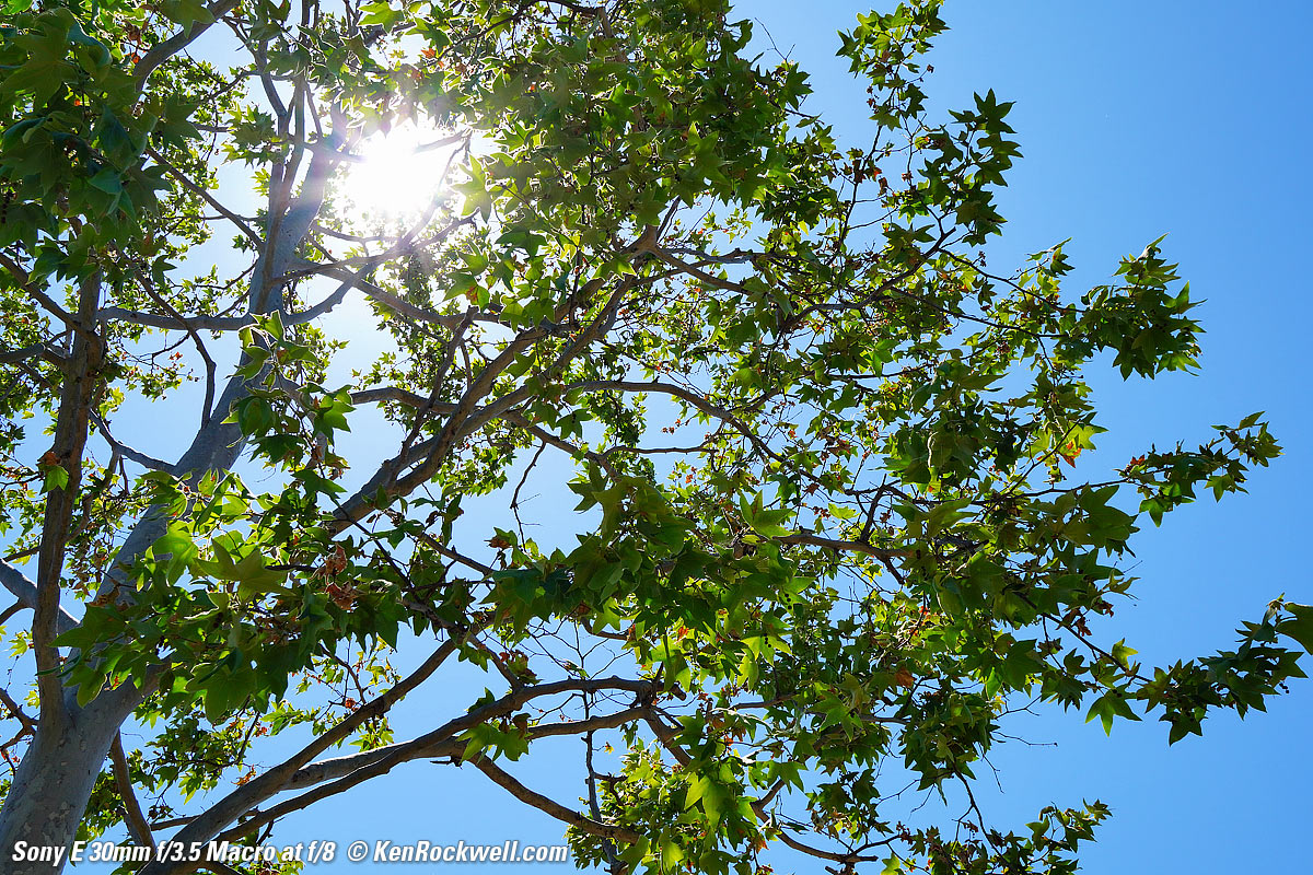 Sony 30mm f/3.5 Sunstars