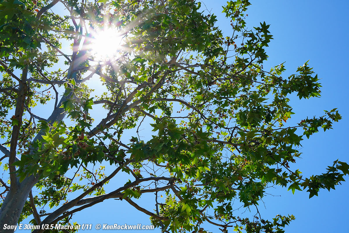 Sony 30mm f/3.5 Sunstars