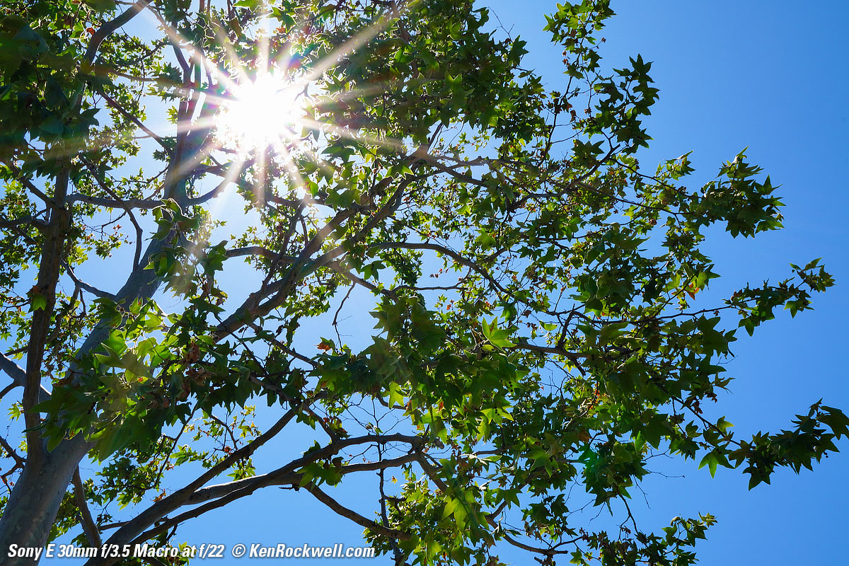 Sony 30mm f/3.5 Sunstars