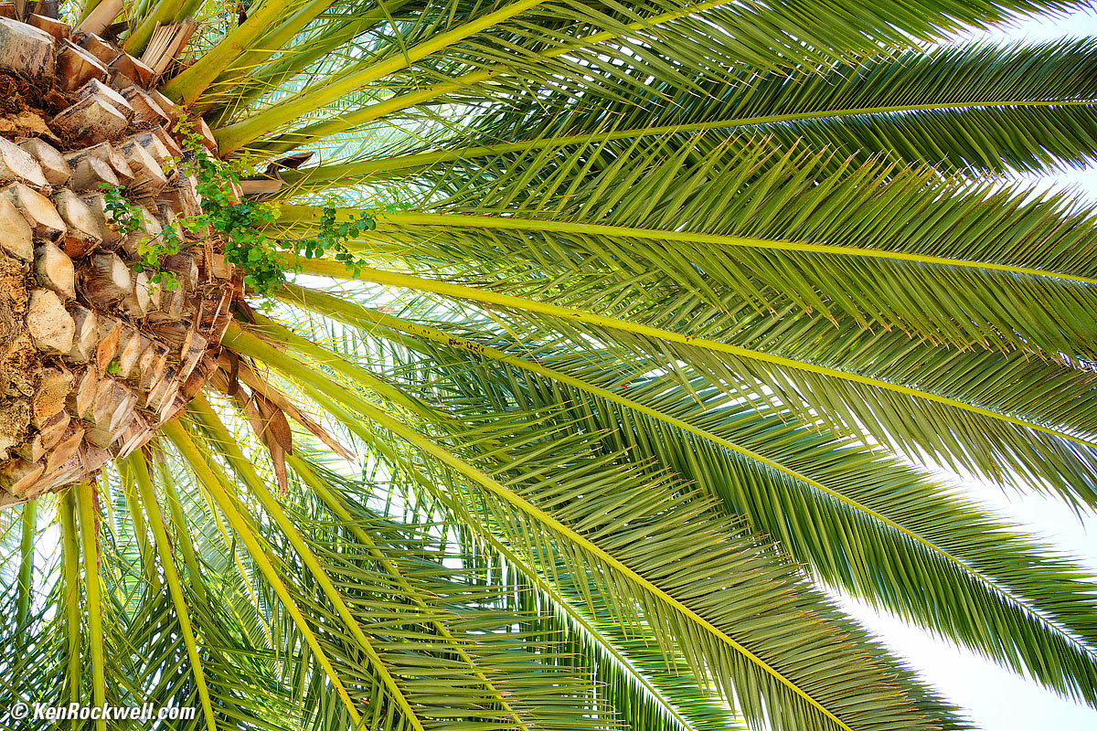 Sony FE 35mm f/1.8 sample image file