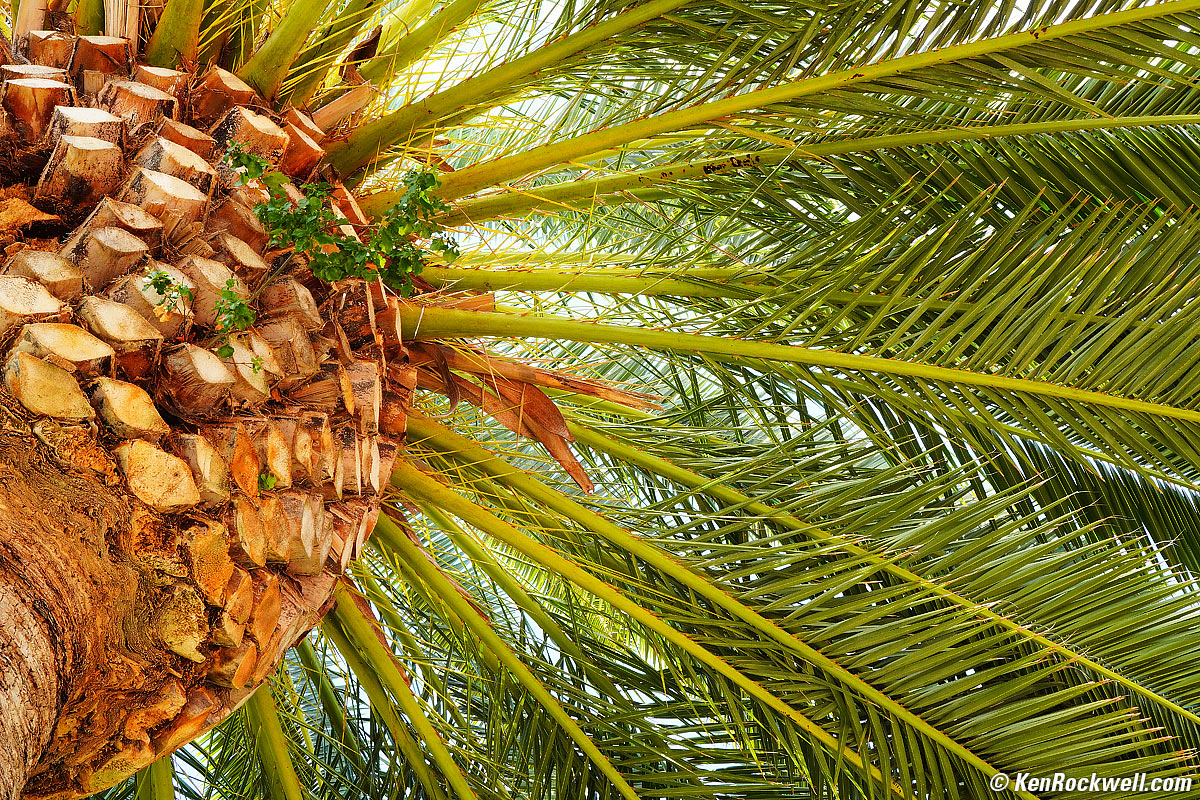 Sony E 35mm f/1.8 sample image file