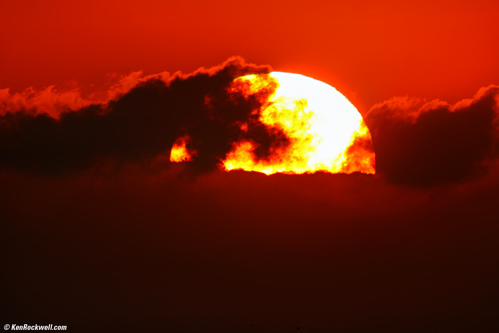 Sony FE 400-800mm G OSS Sample Image File