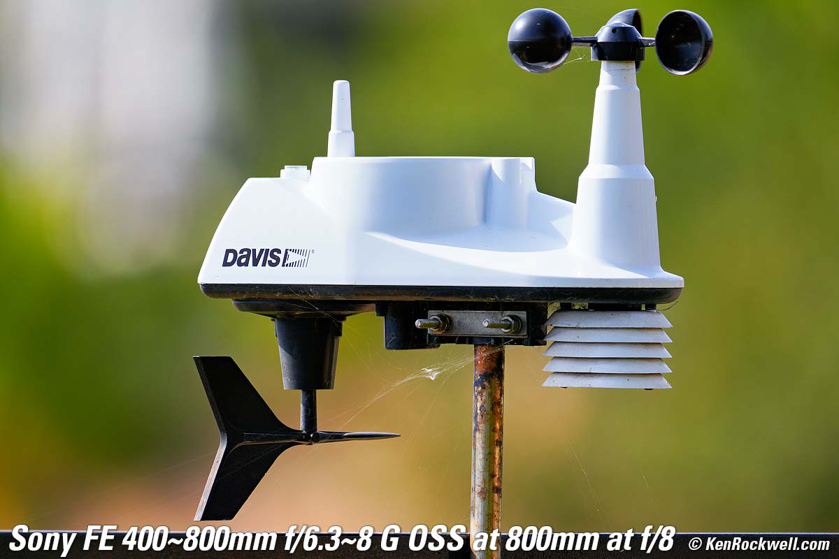 Sony FE 400-800mm G OSS Bokeh Sample Image