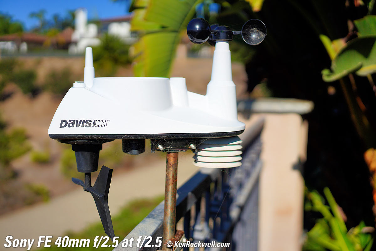 Sony FE 40mm f/2.5 G Bokeh Sample Image