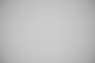 Sony FE 50mm f/1.2 GM falloff