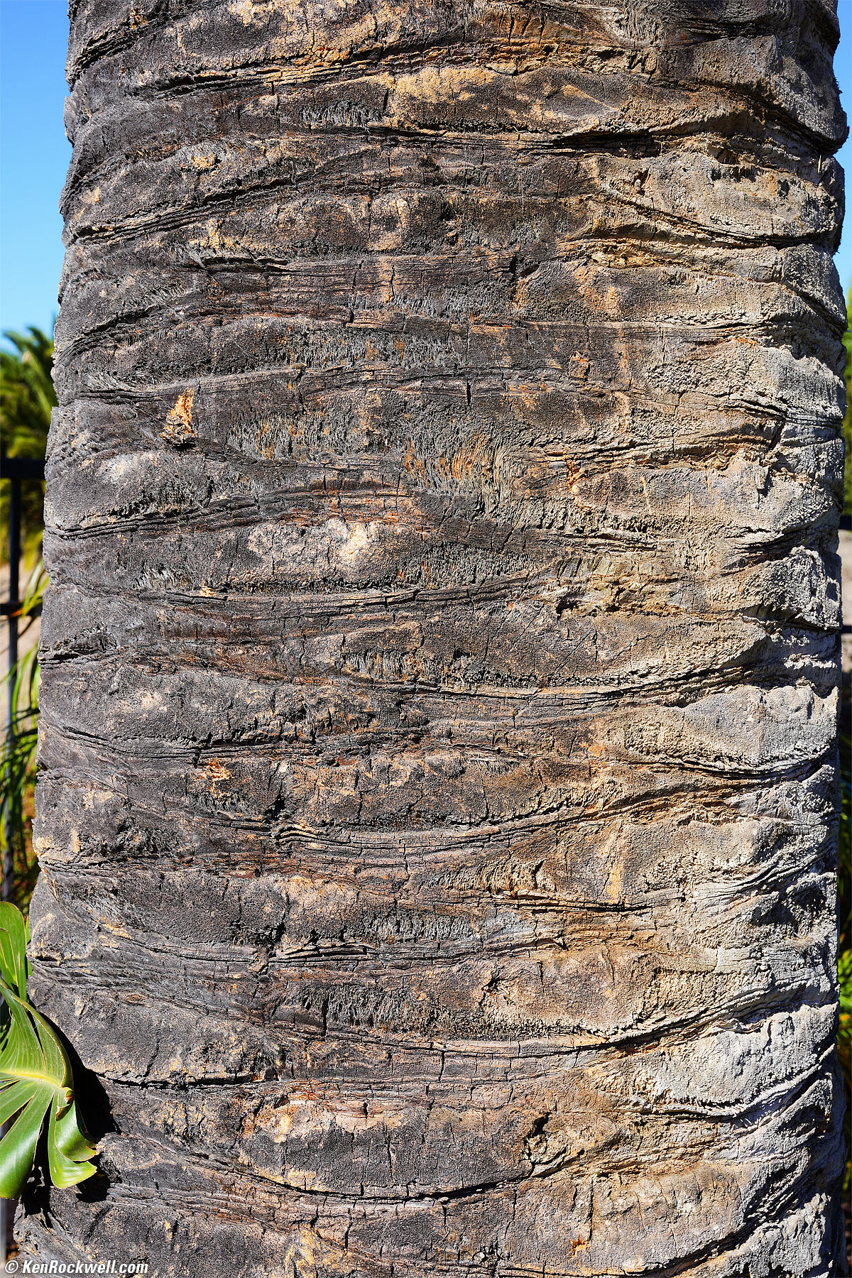 Sony FE 50mm f/2.5 G Sample Image File