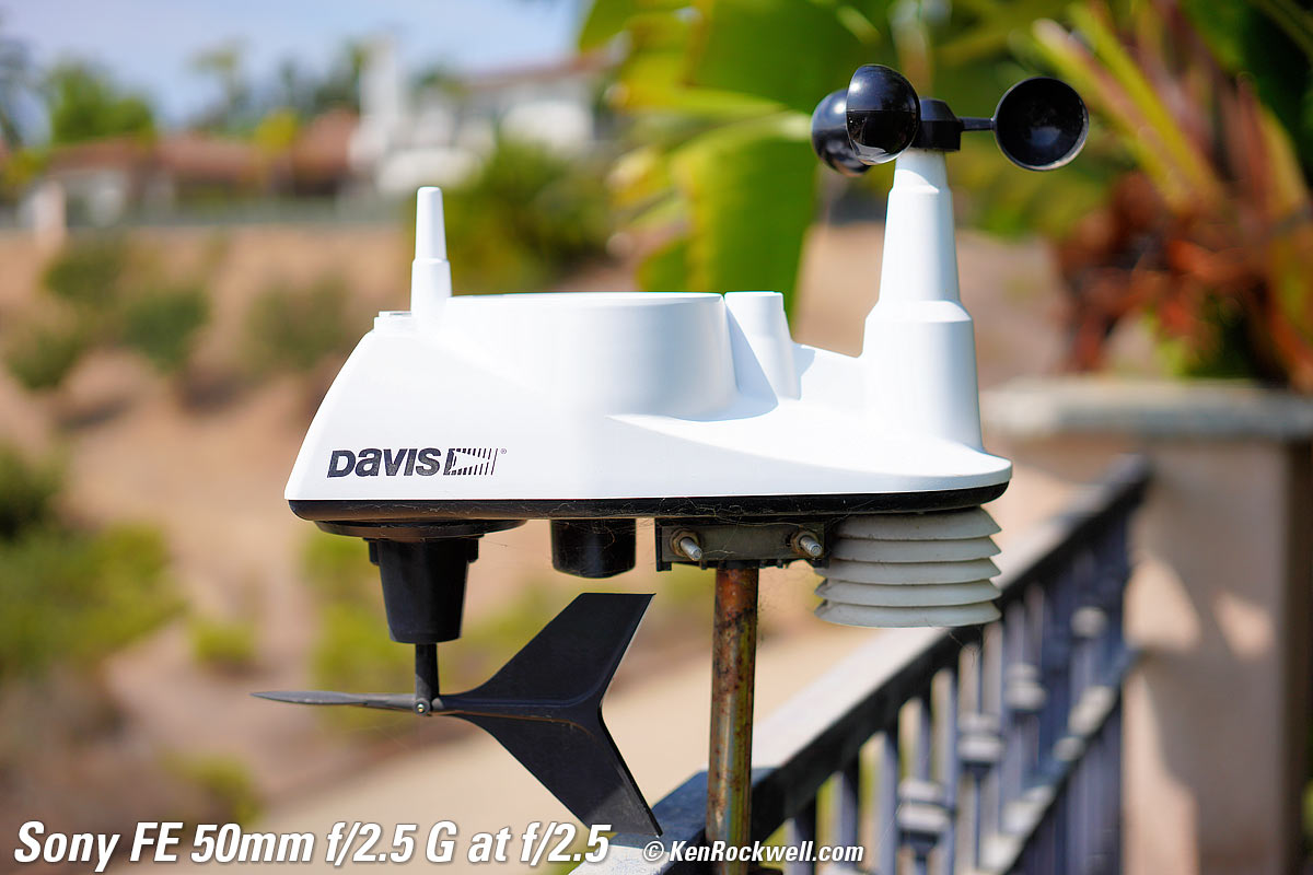 Sony FE 40mm f/2.5 G Bokeh Sample Image