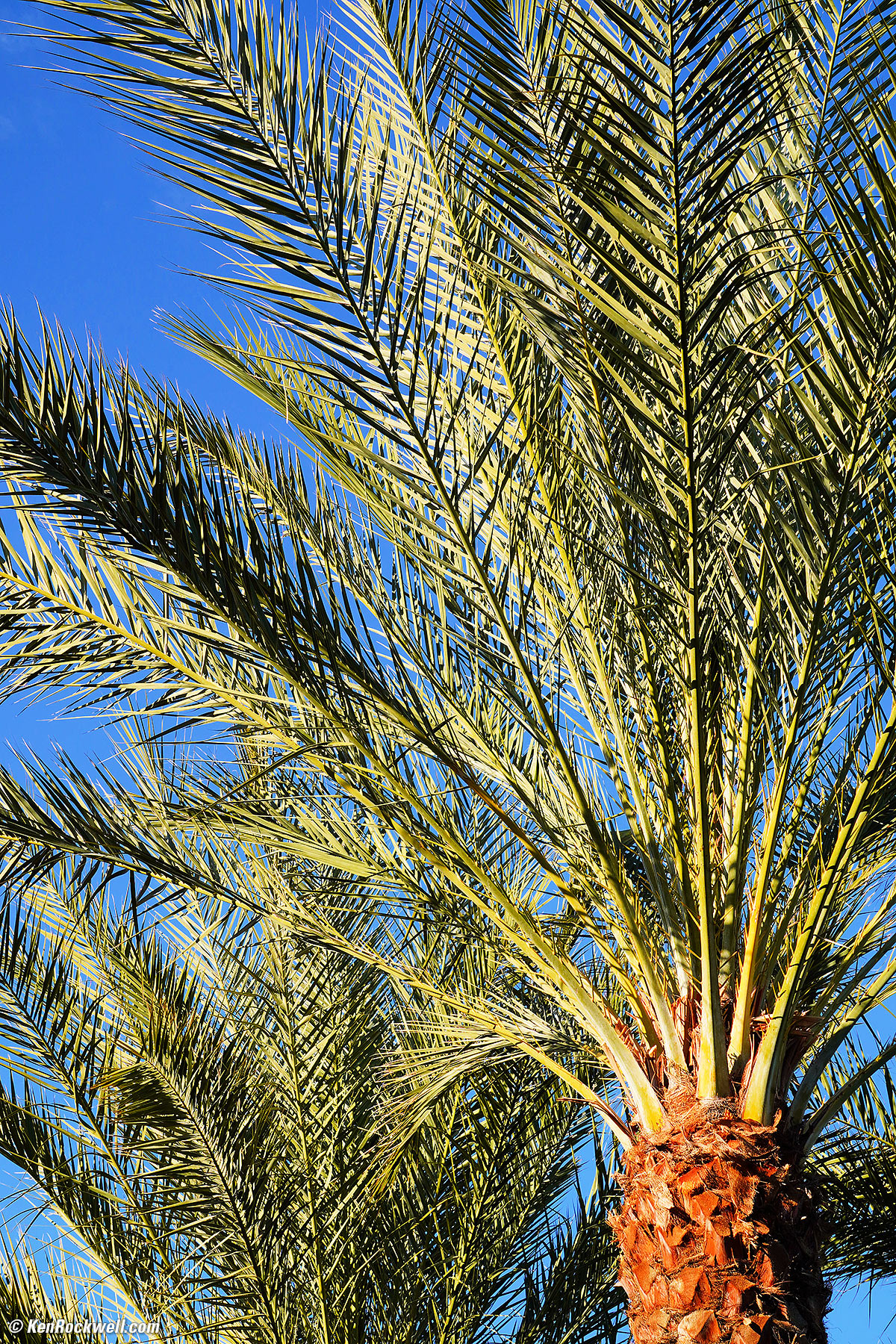 Sony E 55-210mm sample image file