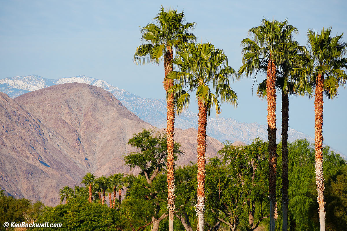 Sony E 55-210mm sample image file