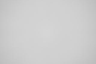 Sony 600mm f/4 falloff