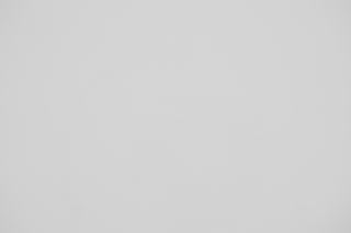 Sony 600mm f/4 falloff