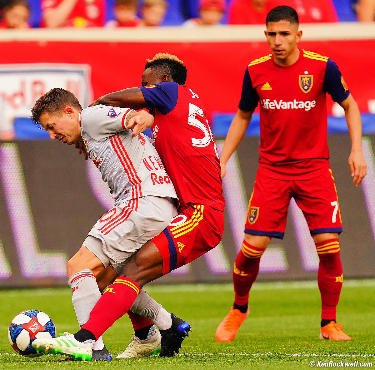 Sony 600mm f/4 Sample Image File