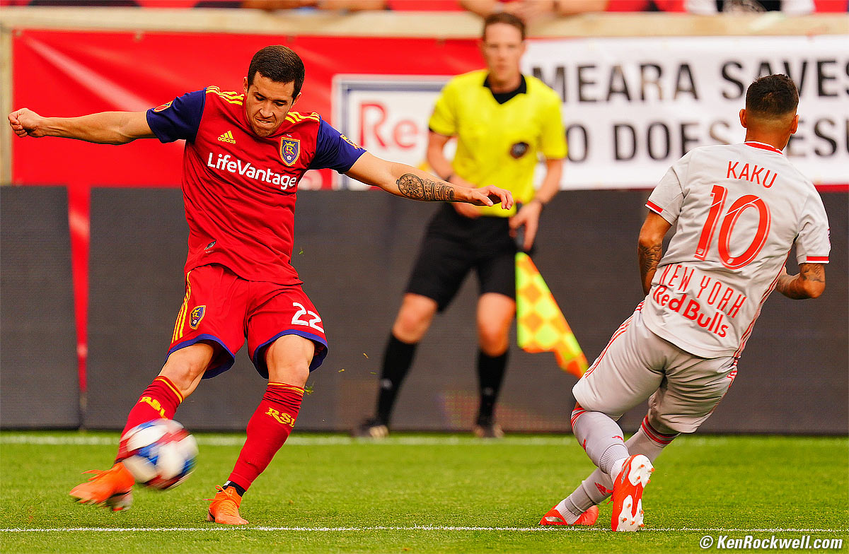 Sony 600mm f/4 Sample Image File