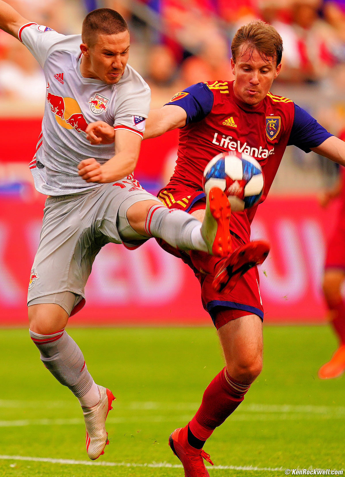 Sony 600mm f/4 Sample Image File