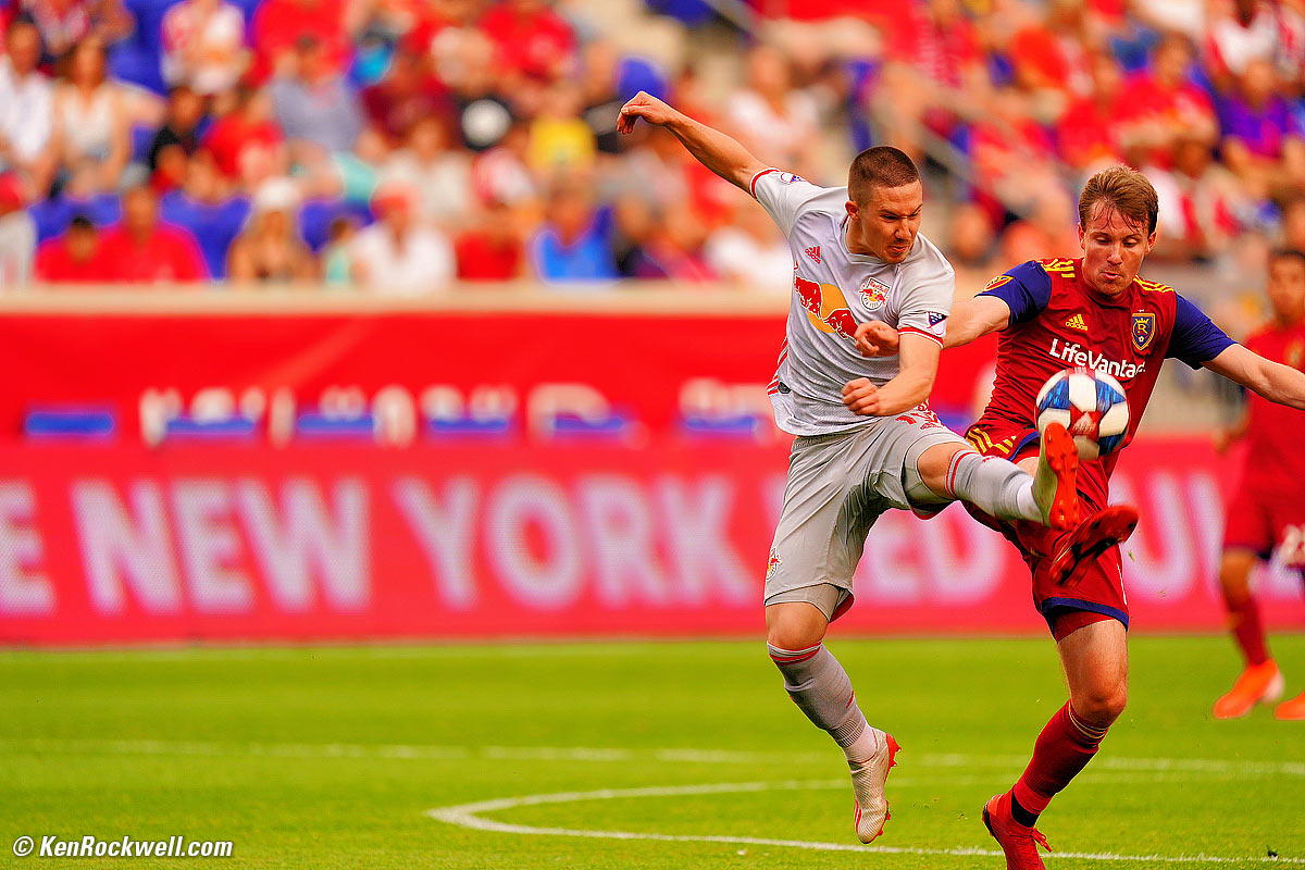 Sony 600mm f/4 Sample Image File