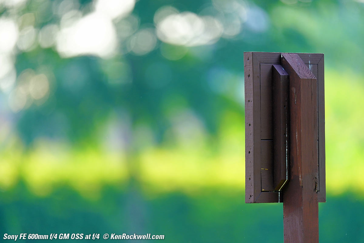 Sony 600mm f/4 Bokeh