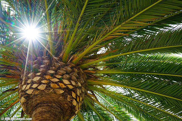 Sony Zeiss 24-70 4 sunstars