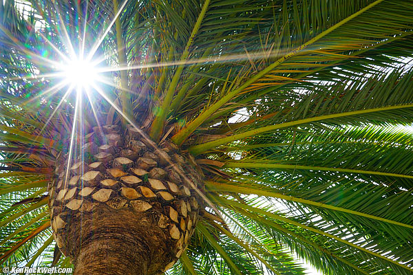 Sony Zeiss 24-70 4 sunstars