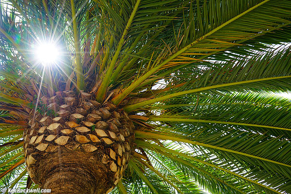 Sony Zeiss 24-70 4 sunstars