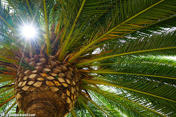 Sony Zeiss 24-70 4 sunstars