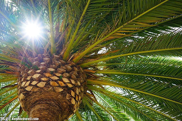 Sony Zeiss 24-70 4 sunstars