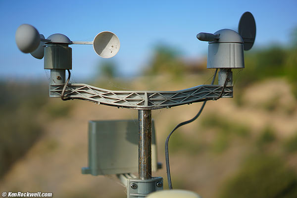 Sony Zeiss 55mm f/1.8 FE bokeh