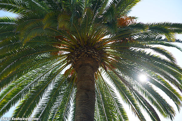 Sony Zeiss 55 1.8 sunstars